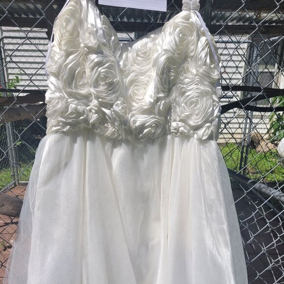 Cream plus size prom dress - Picture 1 of 3
